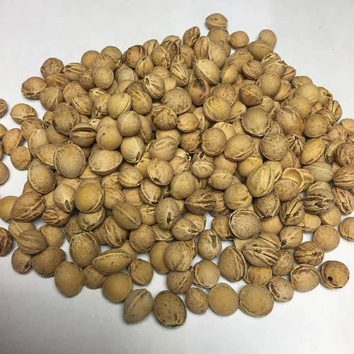 Pat & Patty - Wholesale Stuffed/Plush Toy - Kids & Baby - Organic Eco Kids Heat Pad “Rabbit”4