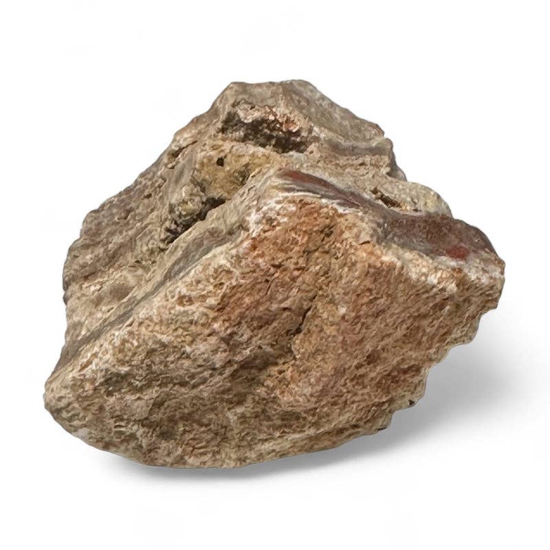 La Boîte à Cailloux - Wholesale Spirituele steen/kristal - Versteend en versteend hout Madagaskar A (ruwe steen)1