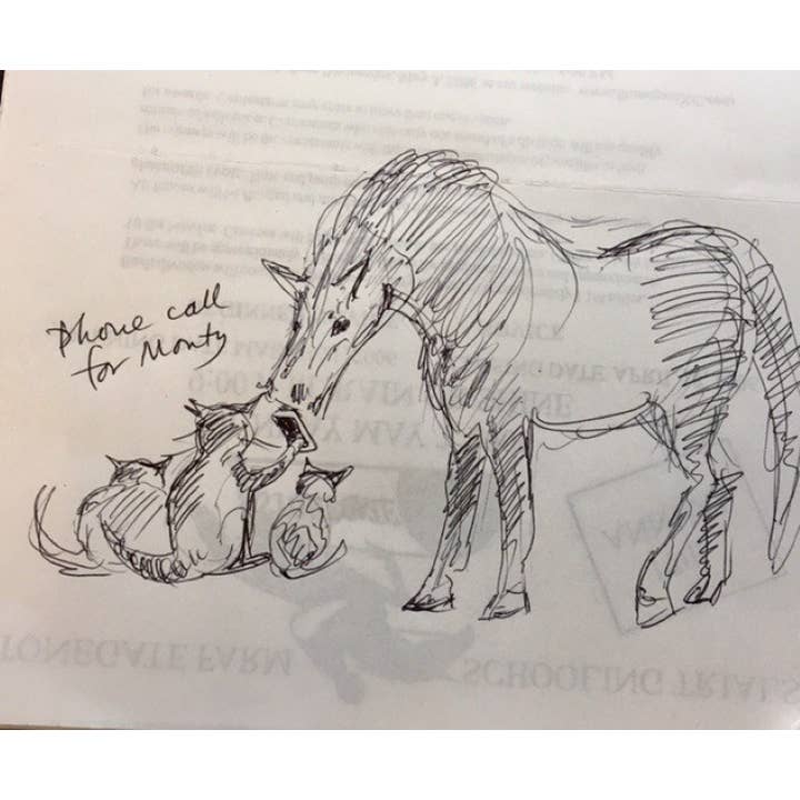 W. W. Norton - Wholesale Book - Adult - Catnip: A Love Story4