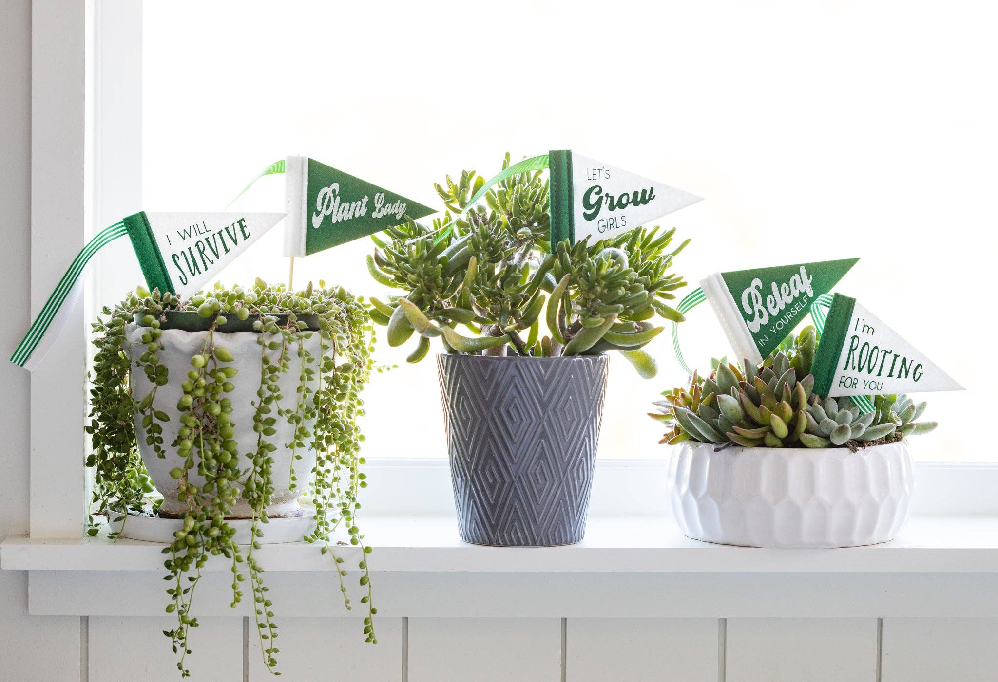 My Mind’s Eye - Wholesale Flag - PLHB202 - Garden Mini Felt Pennant Set1