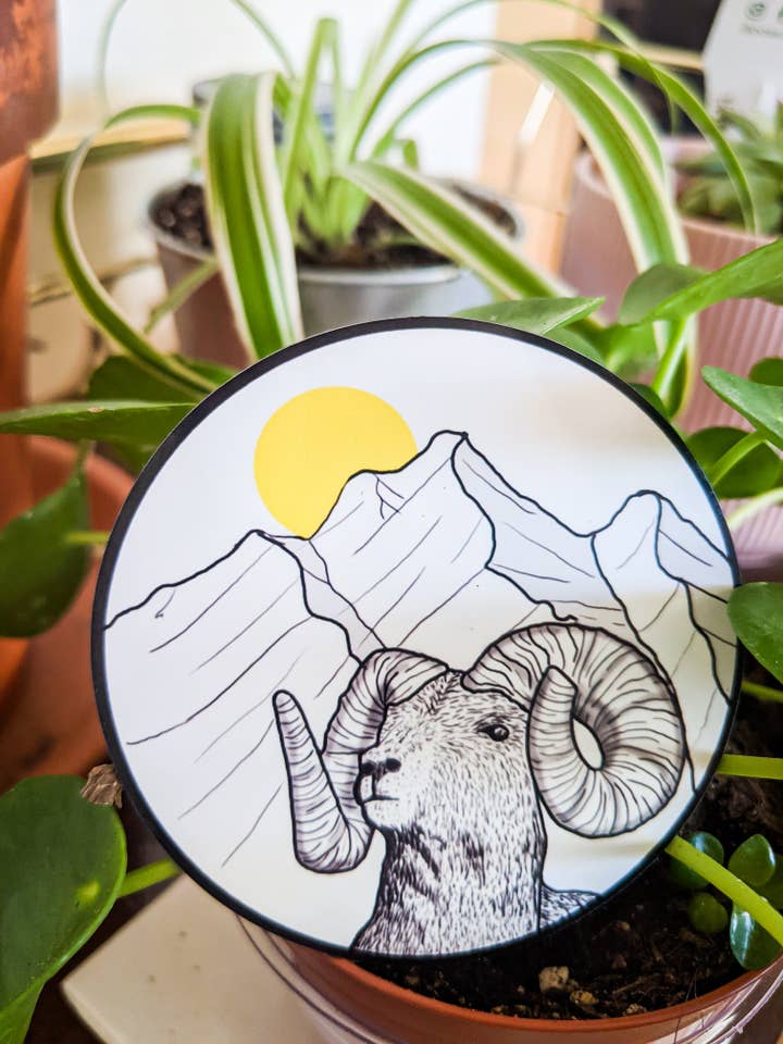 Aimant de mouton de Bighorn pour la vente par Jen The Fern