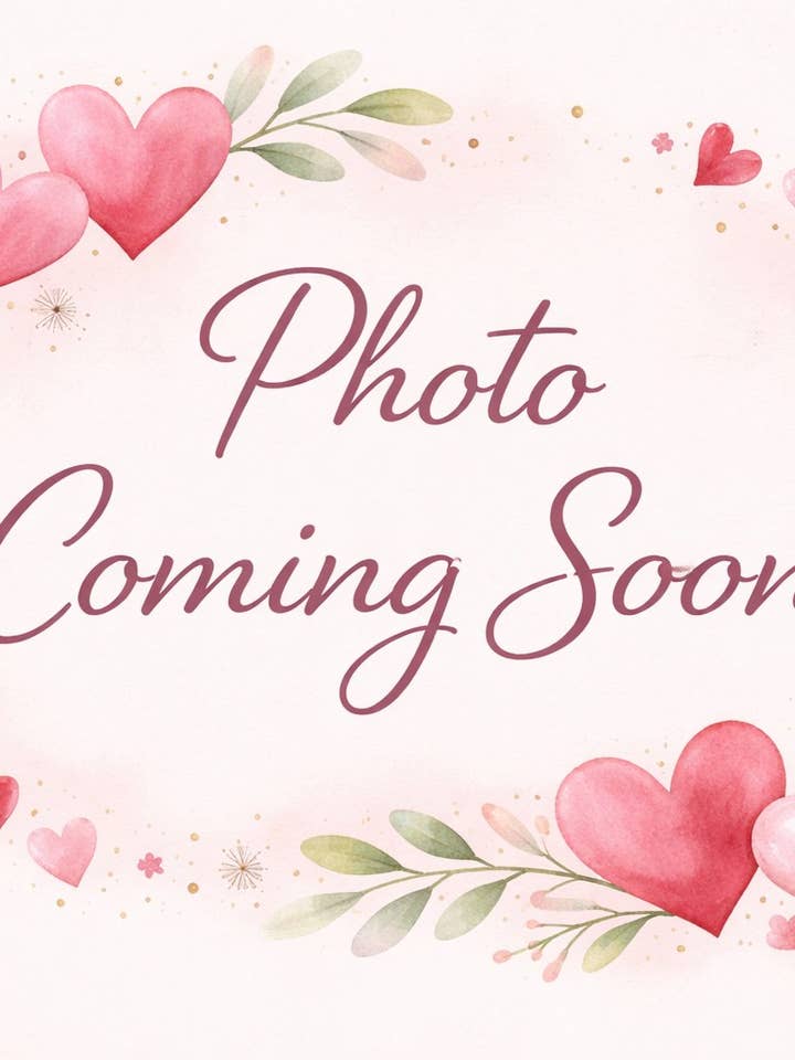 Raspberry Chocolate Dream for wholesale by Kokopelli Farm Market