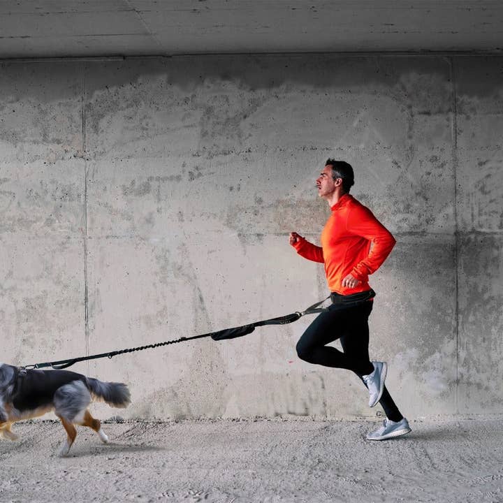 Svart FITLY Löparbälte + Hundkoppel - SVART för wholesale på Faire6