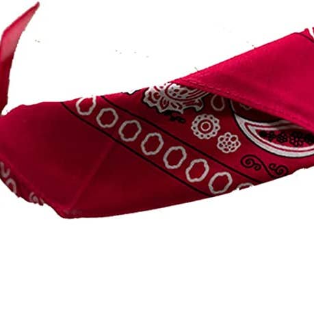 Funky Junque - Wholesale Bandana - Women's - Paisley Printed Cotton Bandanas: Hot Pink