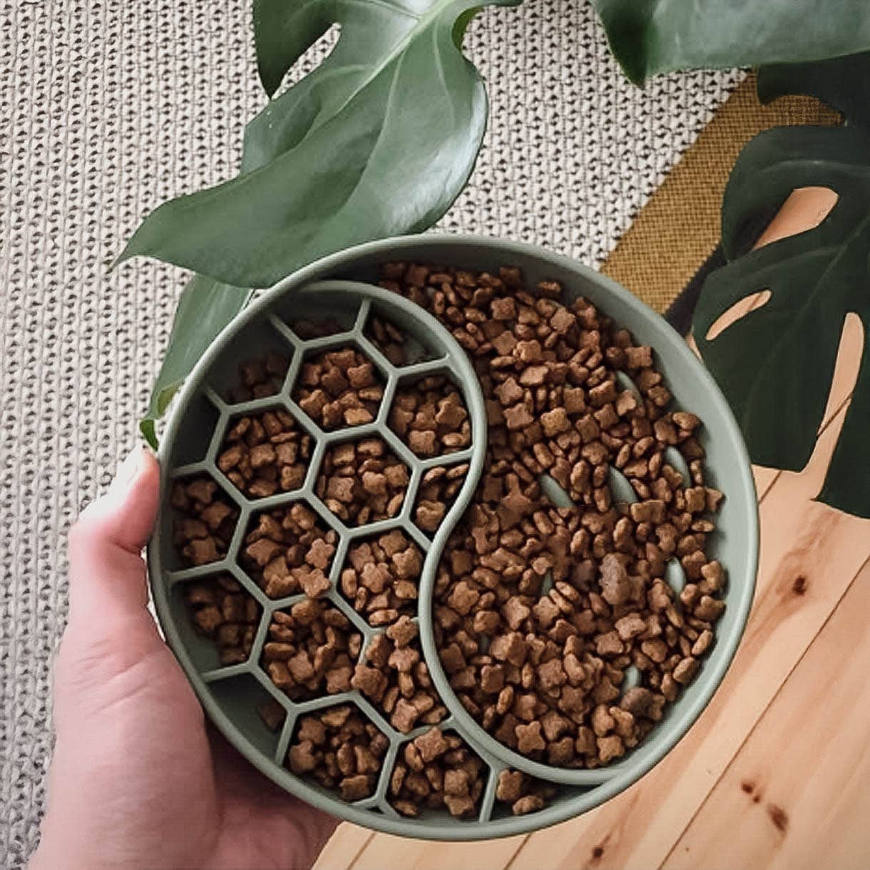 ne&no - Wholesale Pet Bowl - Cat/Dog - ne&no® Anti-Gulping Bowl / Licking Dish for Dogs & Cats19