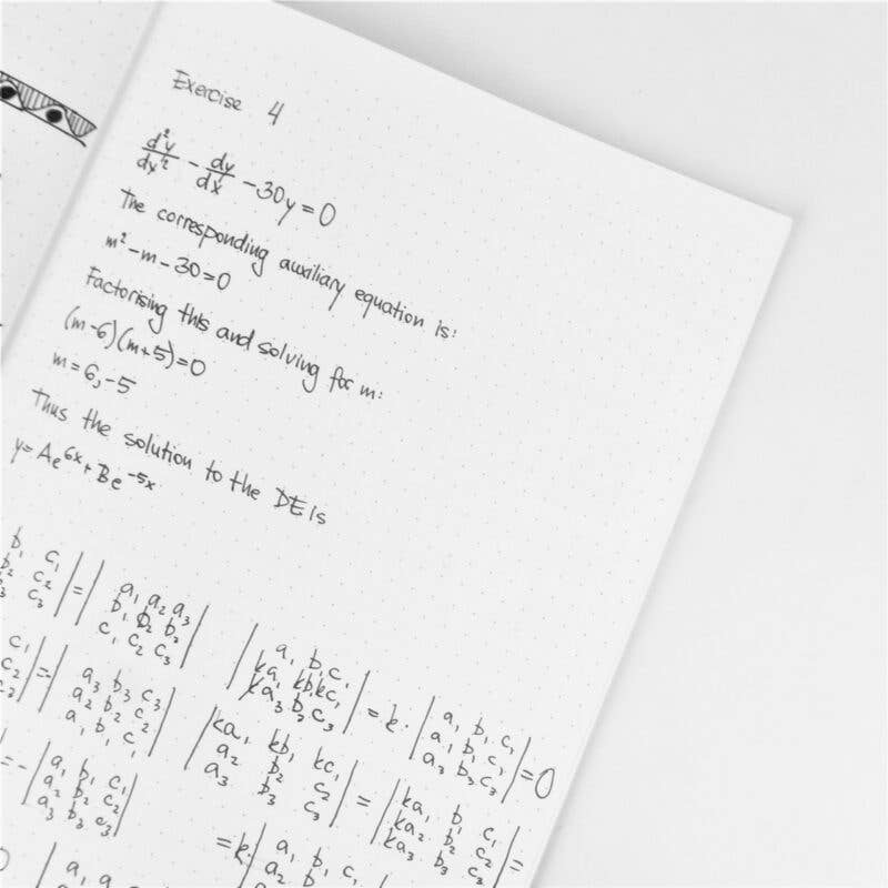 SEIK - Vendita all'ingrosso Quaderni - Bullet Journal / Taccuino a punti con rilegatura a spirale - Ciliegie2