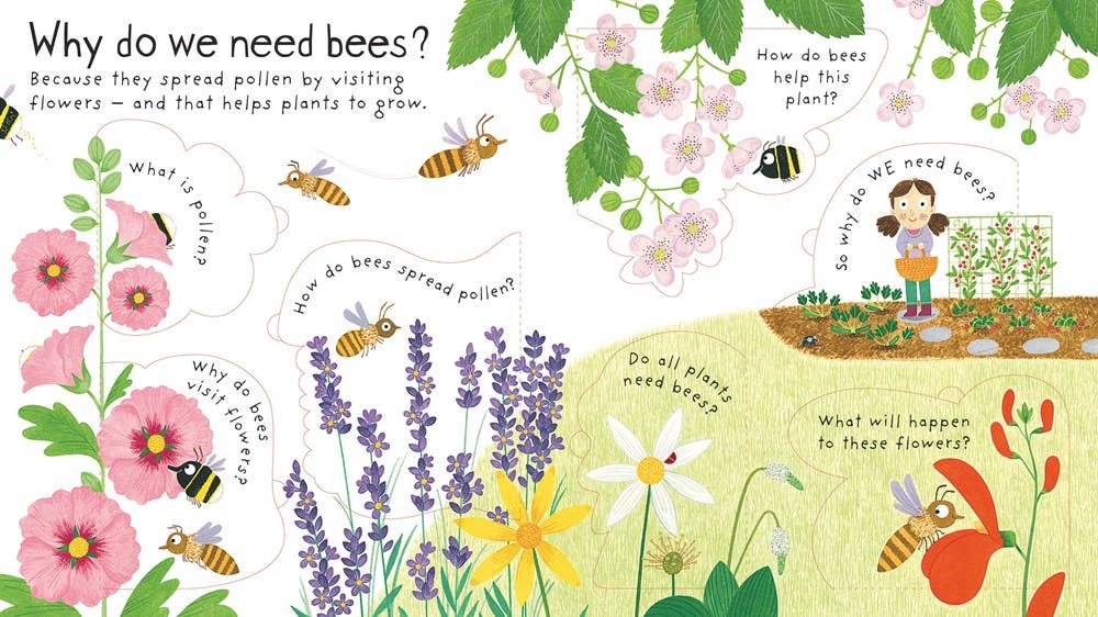 HarperCollins - Wholesale Preschool Book (3-5) - First Questions and Answers: Why do we need bees?1