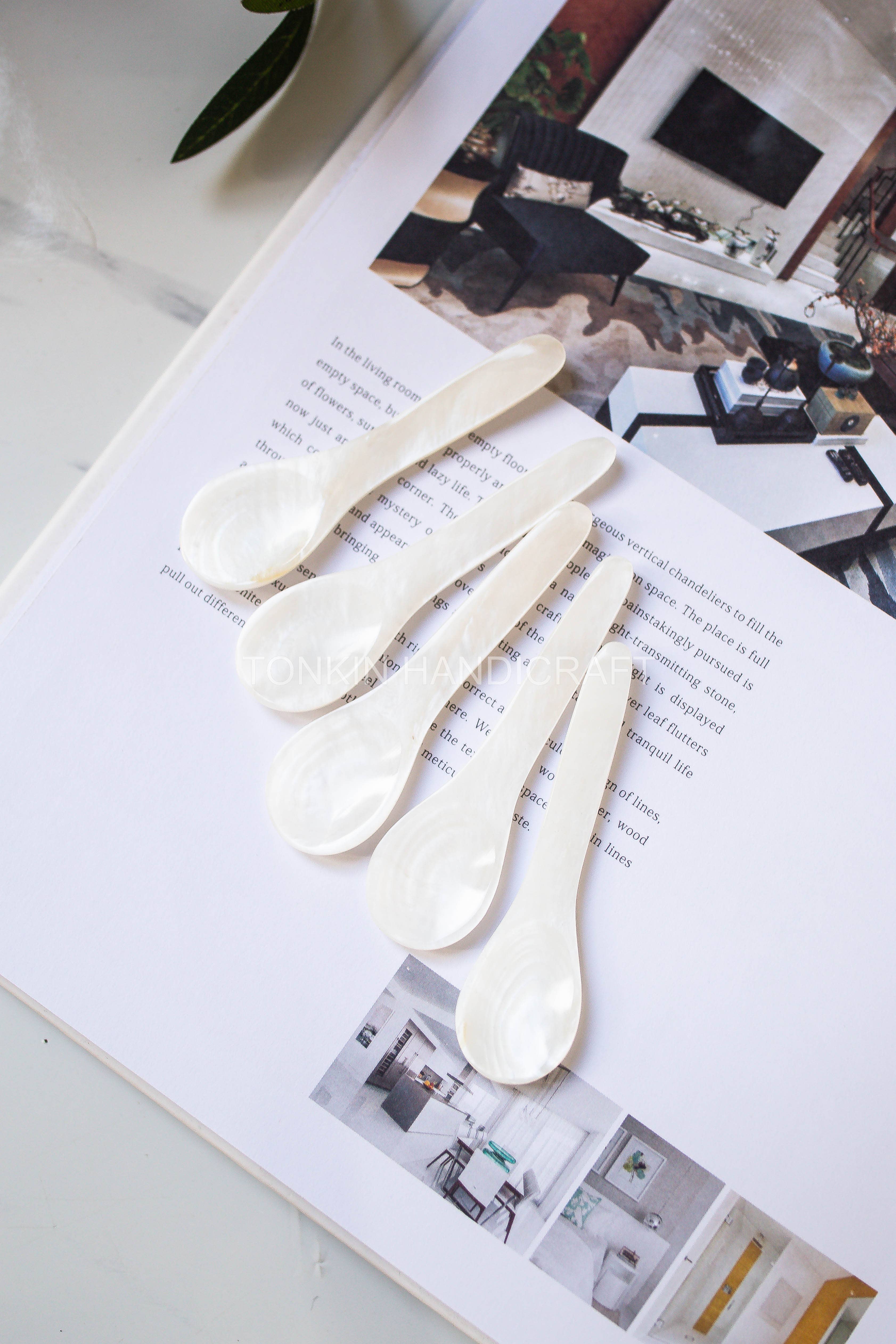 Tonkin Handicraft – Colher de mesa (talheres) por atacado – Colher Mun de Concha para Caviar8