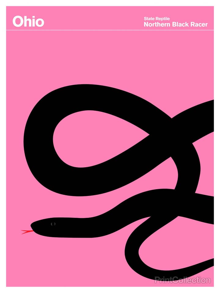 Piloto negro do norte de Ohio por atacado de Print Collection