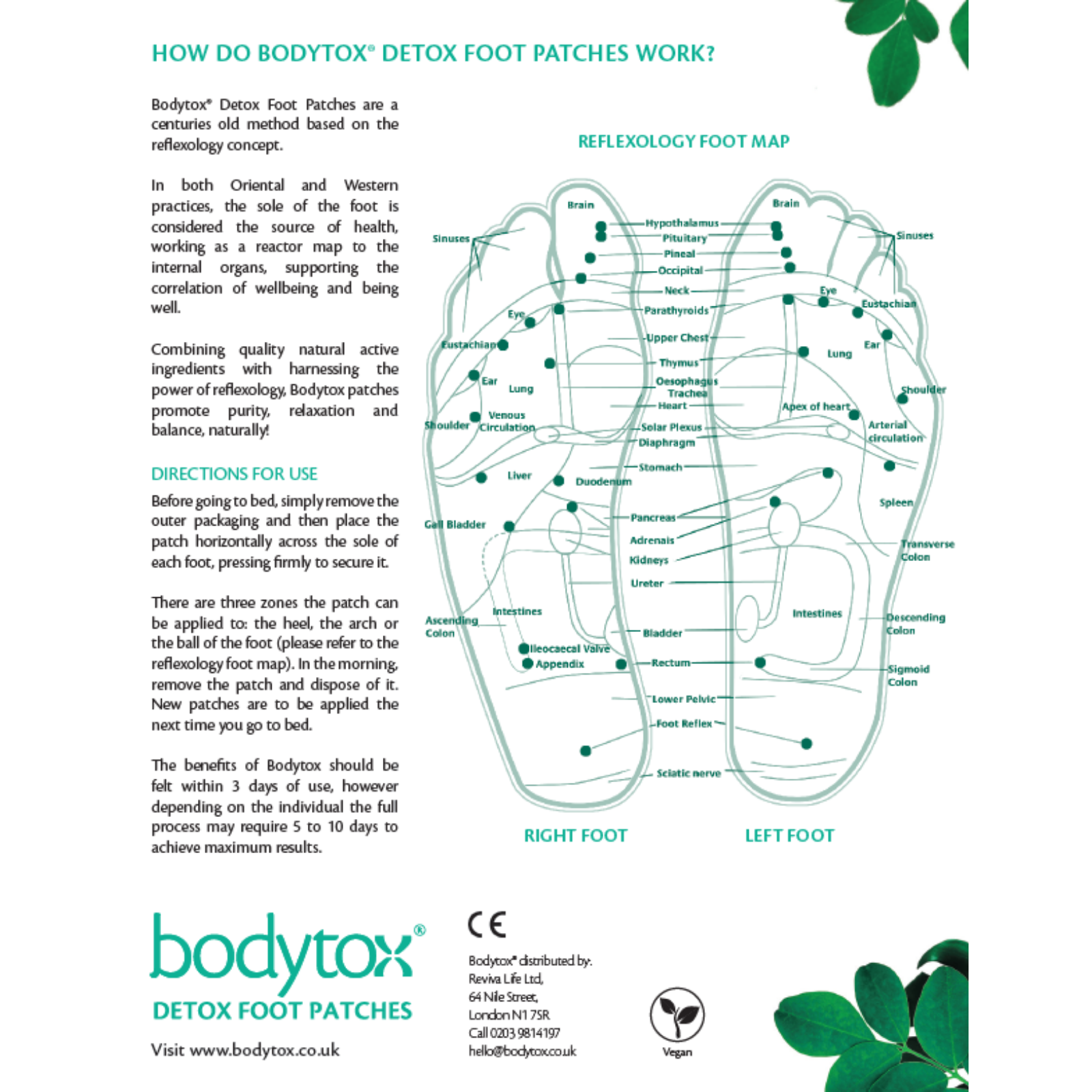 Bodytox - Wholesale Foot Mask - Detox Foot Patches - Box of 101