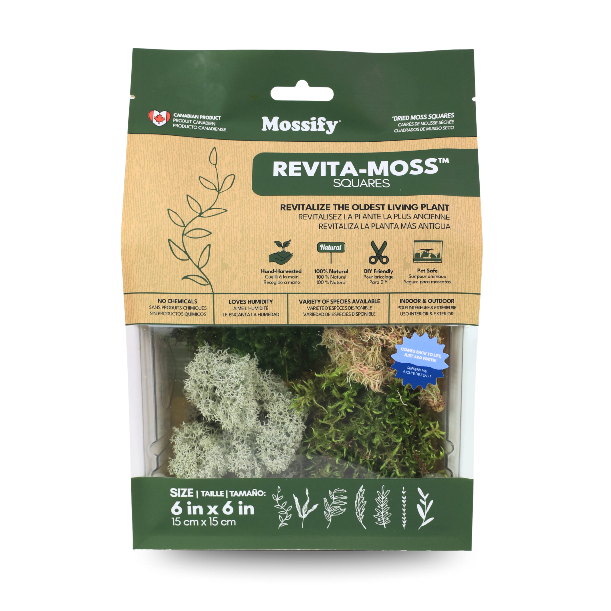 Mossify - Wholesale Live Plant - Revita-Moss Mixed Pack – 4 Species of live / dormant moss4