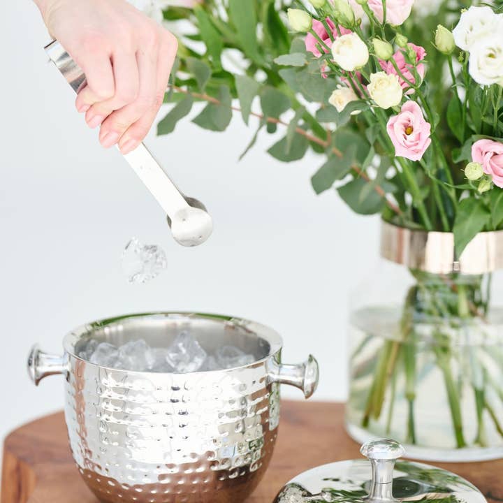 EDZARD - Wholesale Ice Bucket - Rico ice bucket (height 21 cm) with lid and insert, stainless steel2