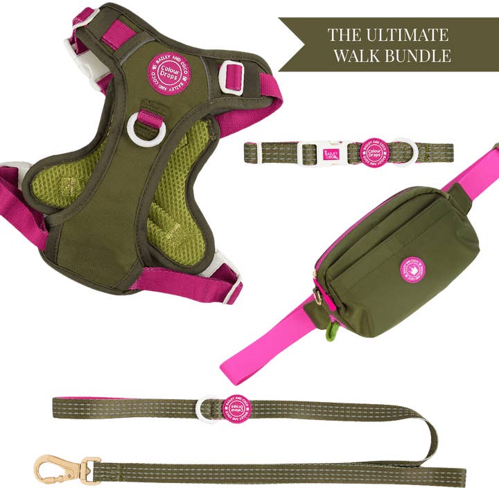 Olive it Hot Adjustable Dog Harness, Lead, Collar & Dog Walking Bag Bundle for wholesale by Bailey and Coco