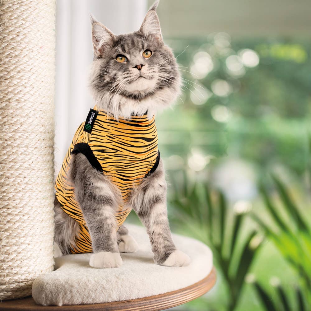 Suitical – wholesale Pet bodysuit – Cat/dog – Recovery Suit - Cat5