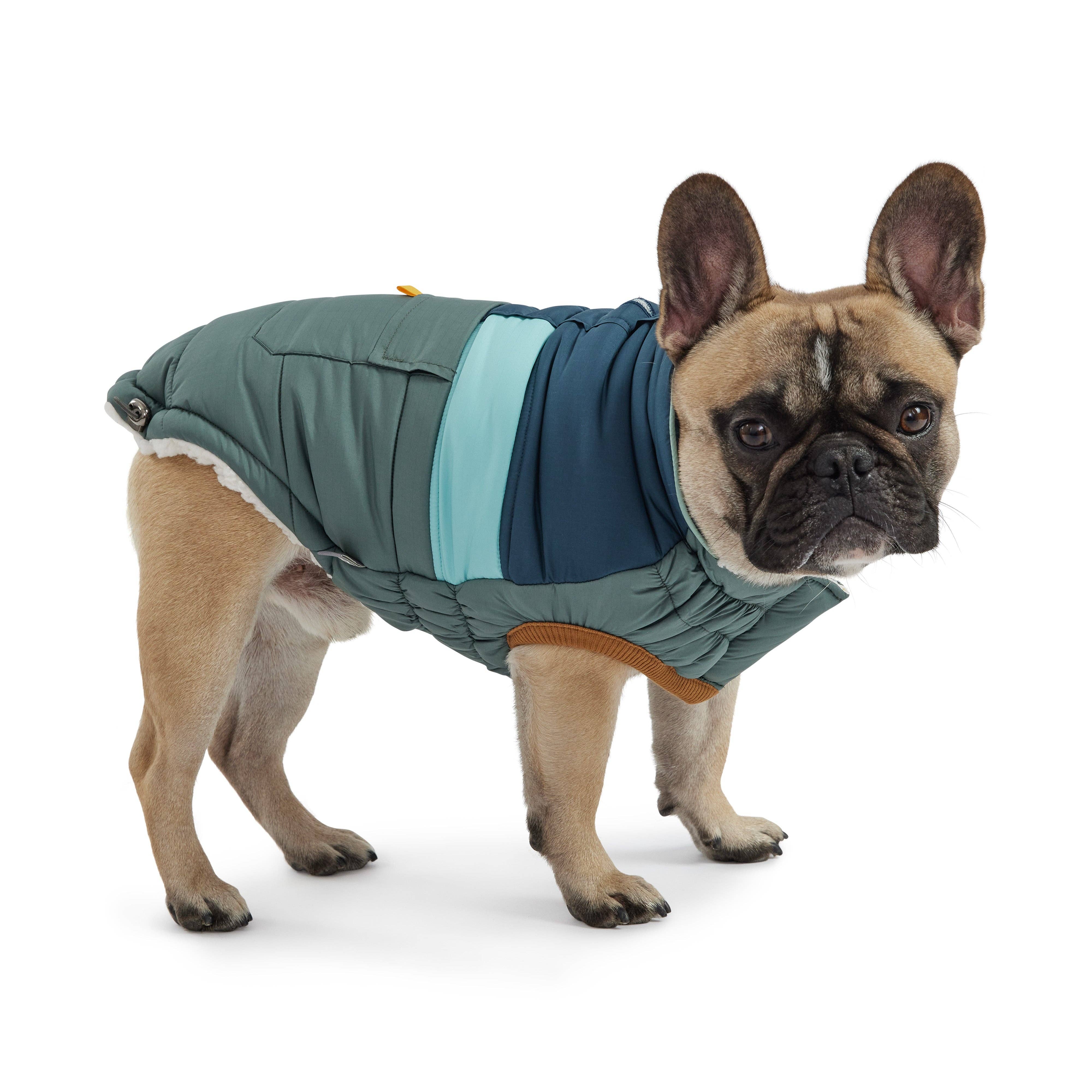 GF Pet - Vente Manteau – chien - Camplife Puffer - Vert sauge1