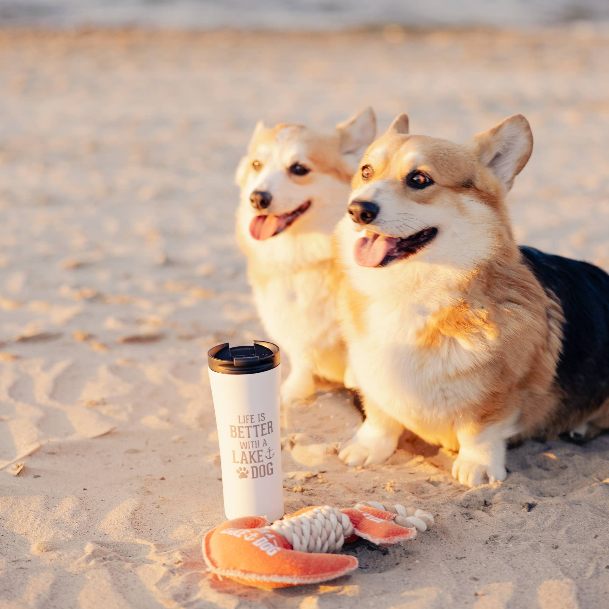 Pavilion - Wholesale Pet Rope Toy - Dog - Lake Dog - 12" Canvas Dog Toy on Rope2