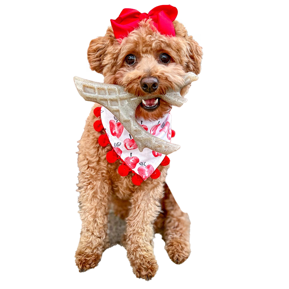 Spunky Pup – Großhandel Haustier-Kauspielzeug – Hund – Spunky Pup Nylon-Hartkaustangen mit Hühnchengeschmack – Hergestellt in den USA1