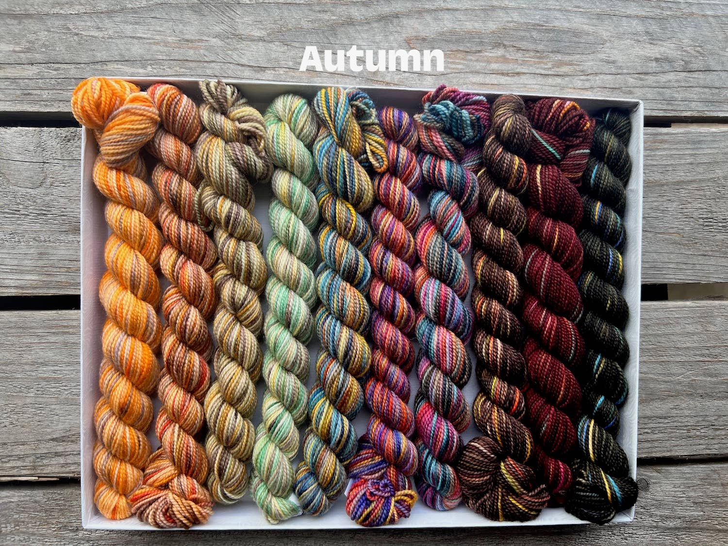 Koigu Wool Designs - Vente Fils à tricoter - Coffret de laine Koigu Pencil Box groupe 165