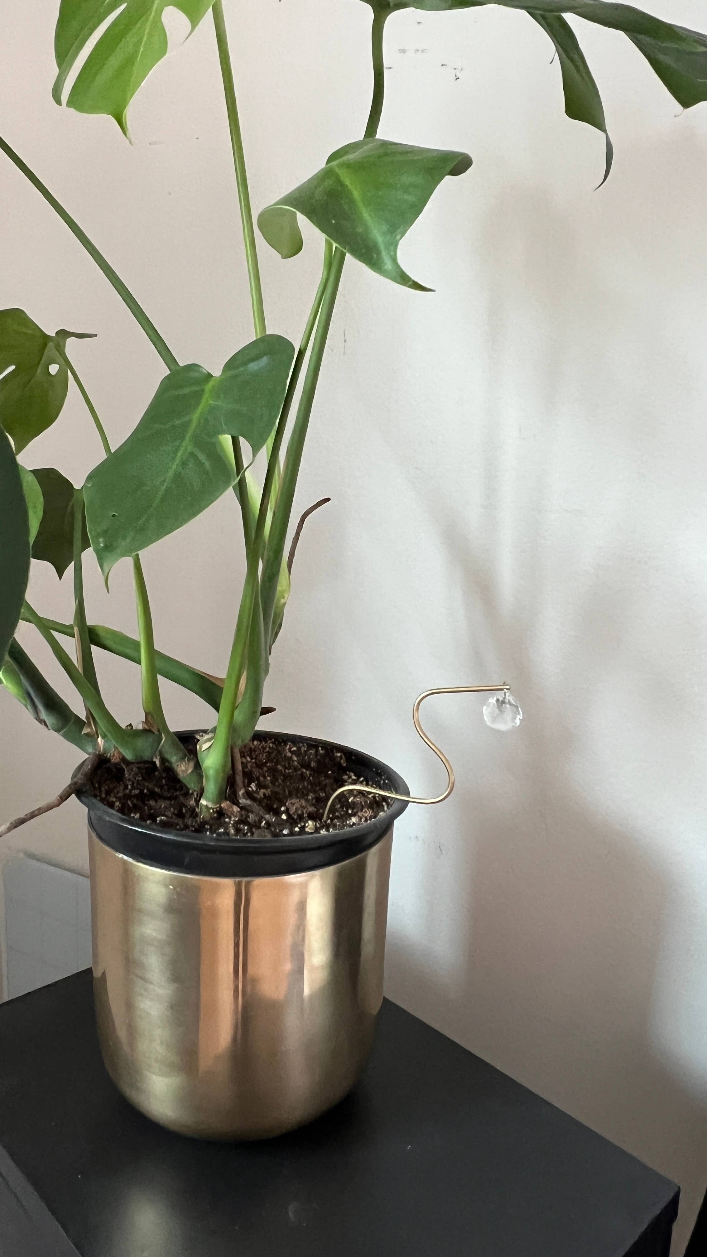 Ombra & Luce – Großhandel Pfosten/Pfähle – Squiggle Plant Stab Suncatcher, Blumentopf-Dekoration2