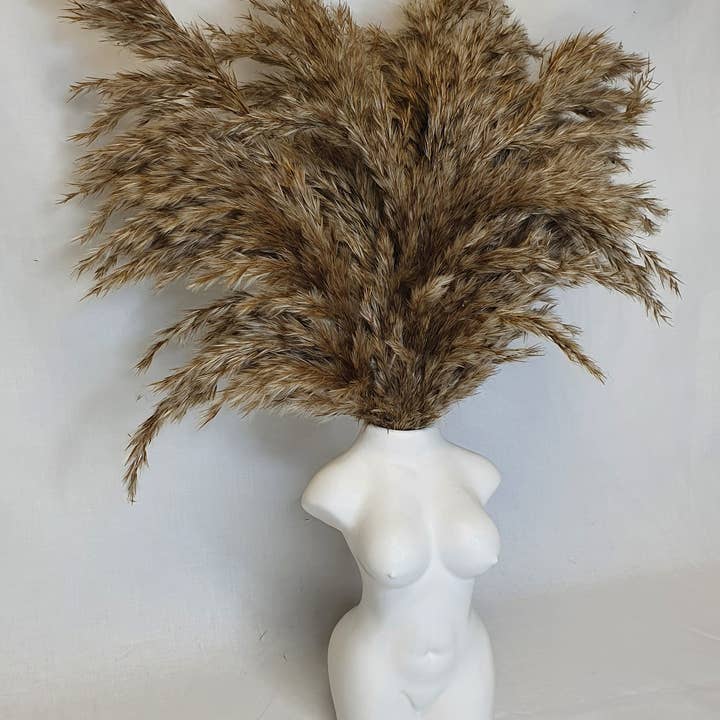 Opal Lily - Wholesale Dried/Pressed Flowers - Wild Fluffy Pampas - Brown1