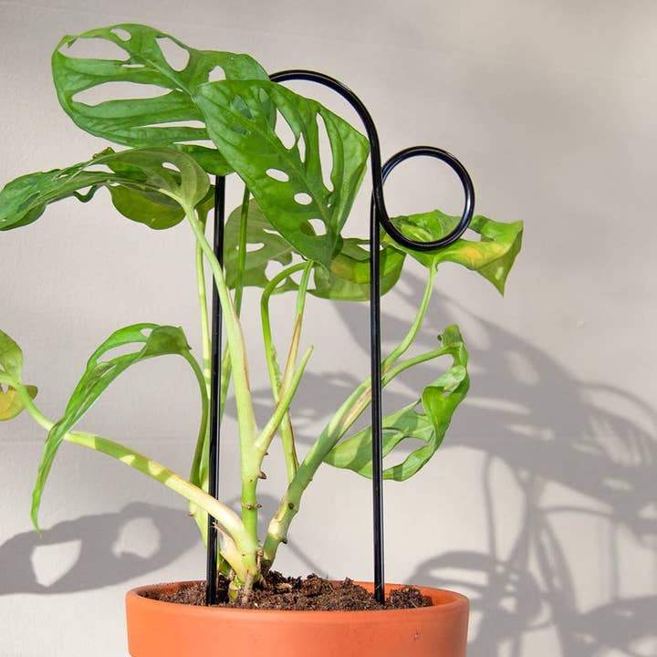 Mini Plant Stake from rust-proof metal - Bump - Black for wholesale by Botanopia USA - gifts , decor and cards for plant lovers