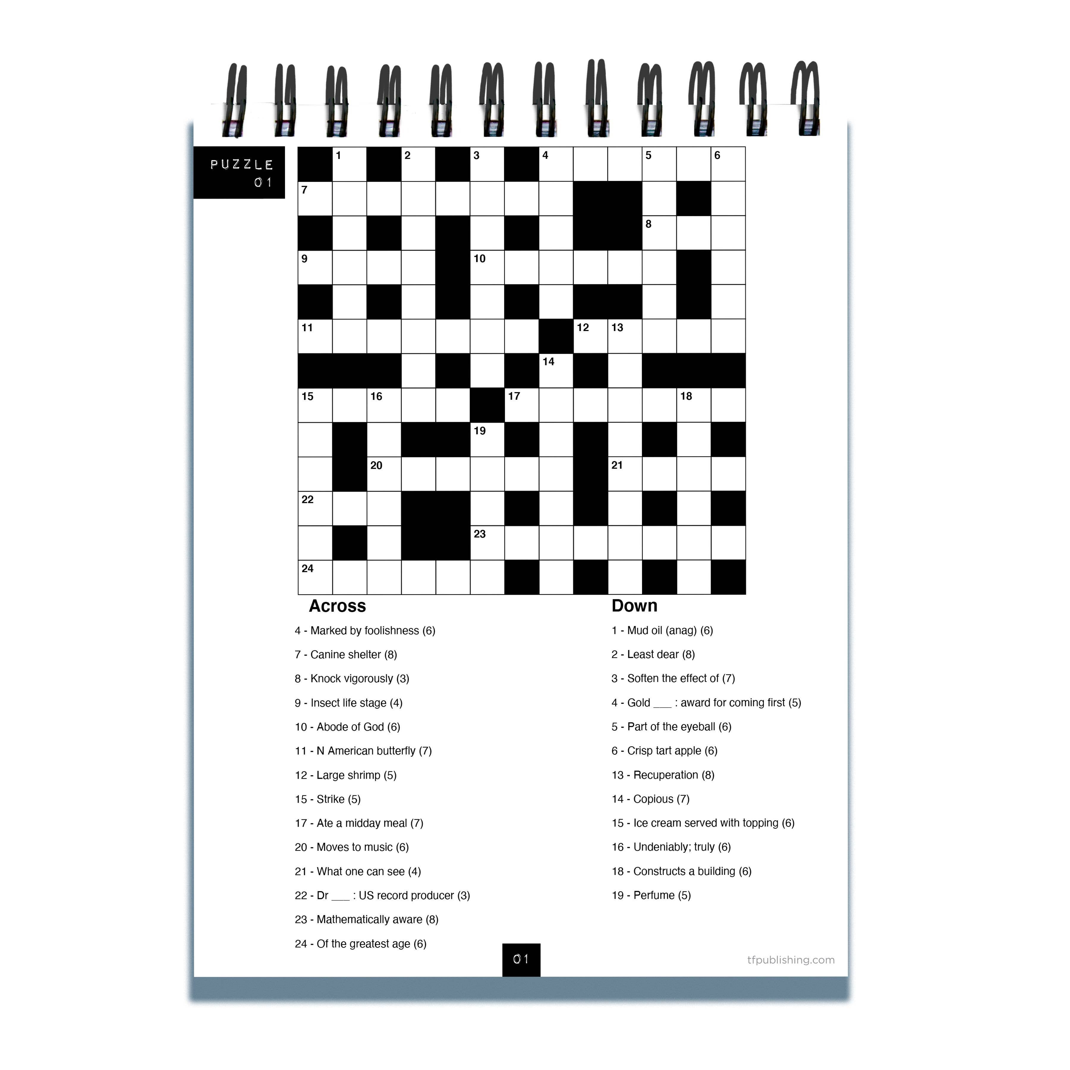 TF Publishing - Paper Goods - Wholesale Puzzel - Volwassene - #StayatHome Kruiswoordpuzzel Boek Spiraal puzzel Pad1