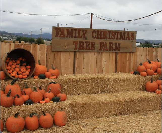 LoneTree Fab - Wholesale Craft Supplies - 4.5" Rustic Metal Letters, A-Z, 0-9, #,$,&7