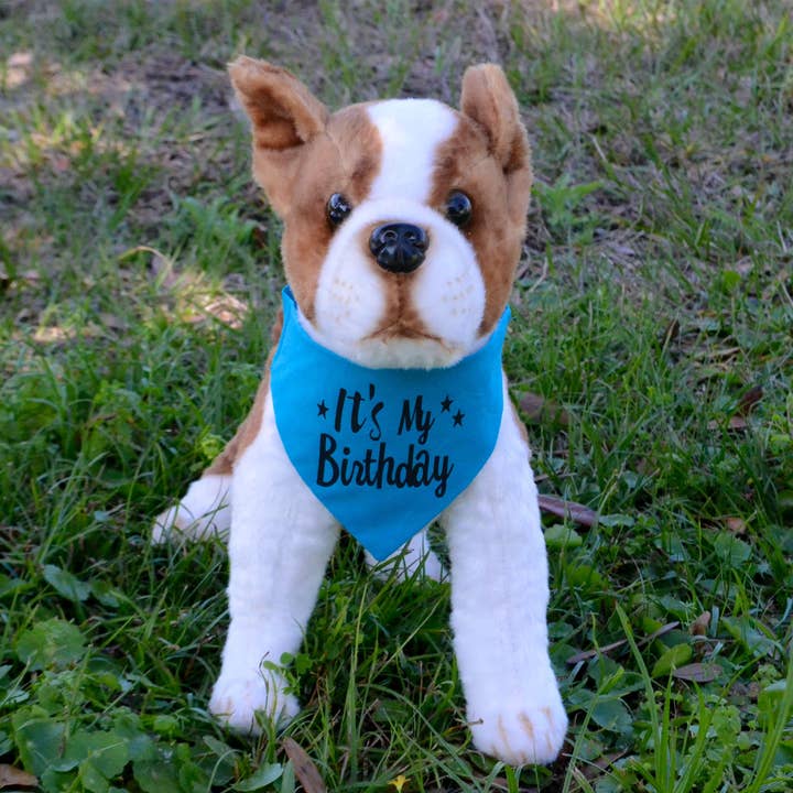 Spoiled Pet Accessories - Wholesale Pet Bandana - Dog - It's My Birthday Bandana3
