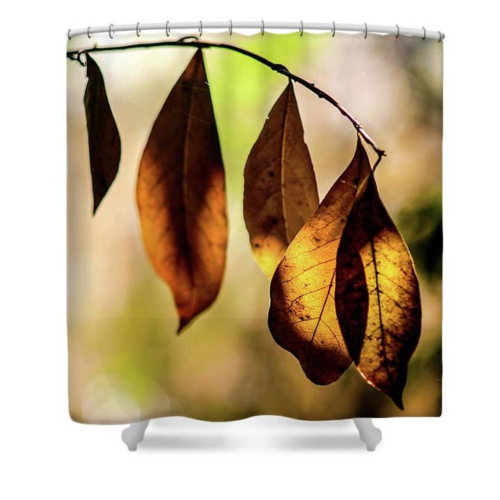 DE FEM EFTERÅRS BLADE BADEFORHÆNG for engroshandel hos sorayadapuzzostore