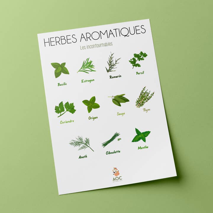 Aromatic herbs and other Purchase Wholesale pâtes fraîches artisanales bio. Free Returns & Net 60 Terms on Faire trending on Faire.