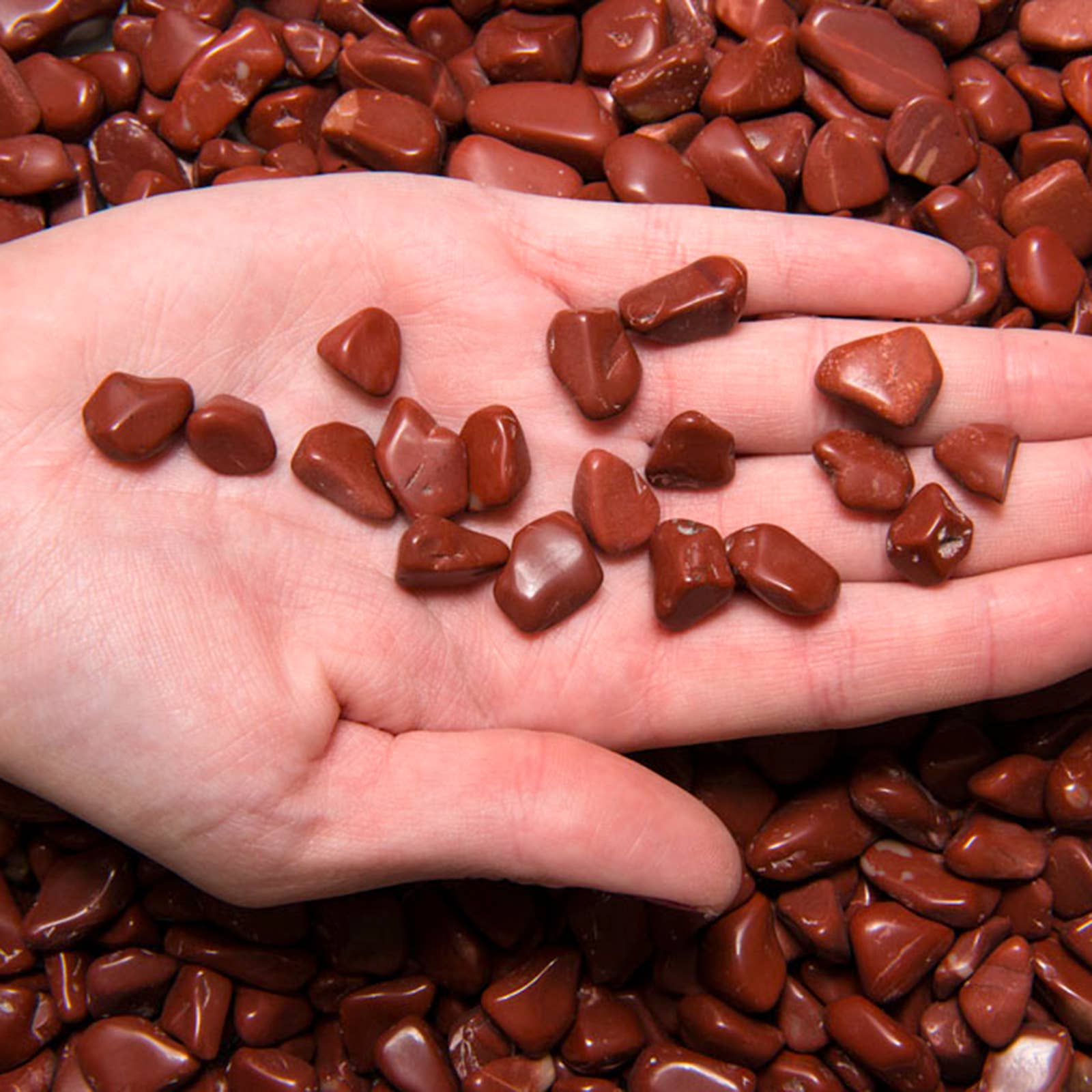 Fantasia Mining - Wholesale Spiritual Stone/Crystal - Tumbled Red Jasper - XXS - A Grade - Brazil (1 lb)1