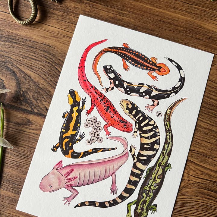 Tansy Moore - Wholesale Art Print - Salamanders, Fine Art Watercolour Print 3