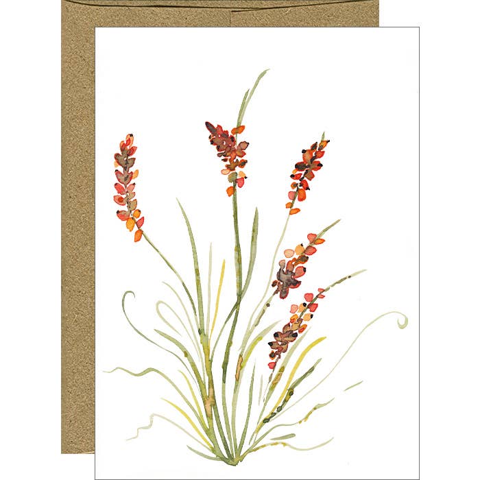 Aquarel Golden Sedge Notitiekaarten - Set van 6 in doos voor wholesale door Pink Bathtub Designs