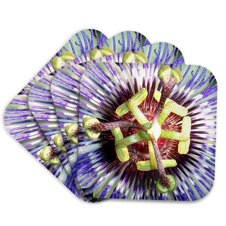 3dRose - Wholesale Coasters - 3dRose, Close Up of The Centre Of a Passiflora Flower, Coaster7