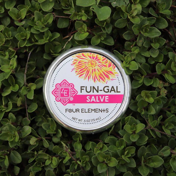 Fun-Gal Salve - .5 oz for wholesale by Four Elements Organic Herbals