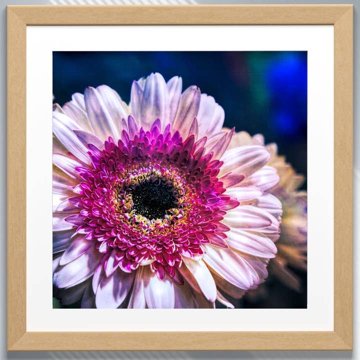 Fine Art Giclee Print - Pink Gerbera Flower for wholesale by Natalie’s Art