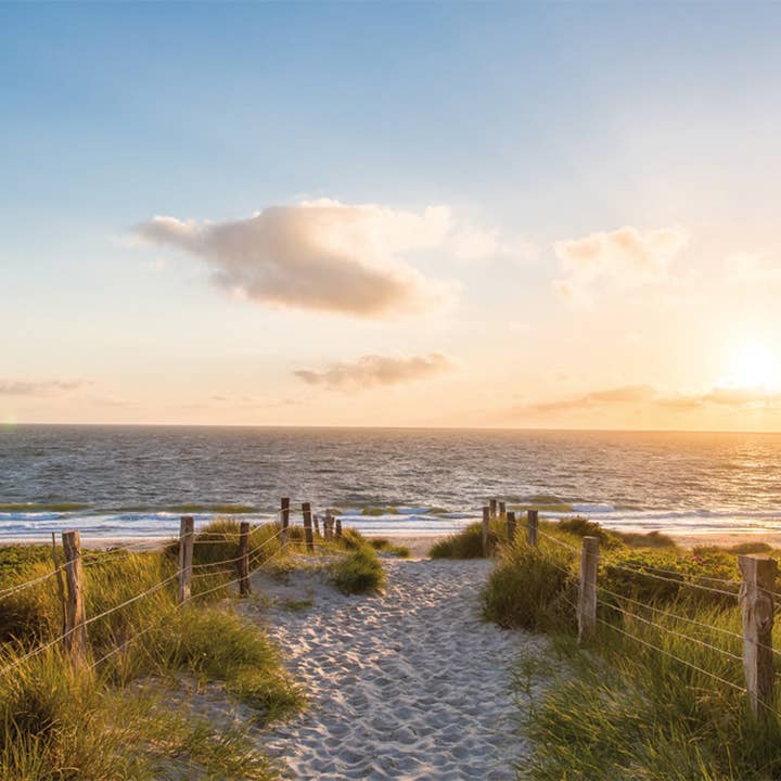 båre for engroshandel hos Bönninghoff