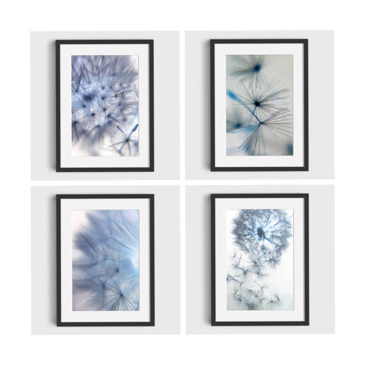 Dandelion Flower Photo Prints set of 4, Beautiful Wall Decor for wholesale by Echoes & Shadows Photography