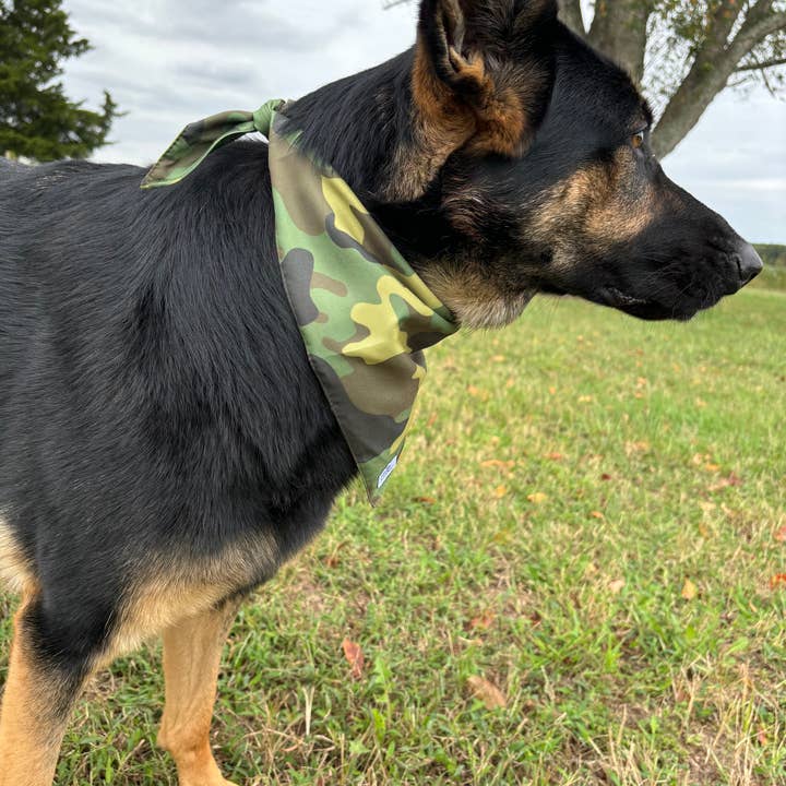 PUP LUX, LLC - Wholesale Pet Bandana - Dog - Into the wild bandana