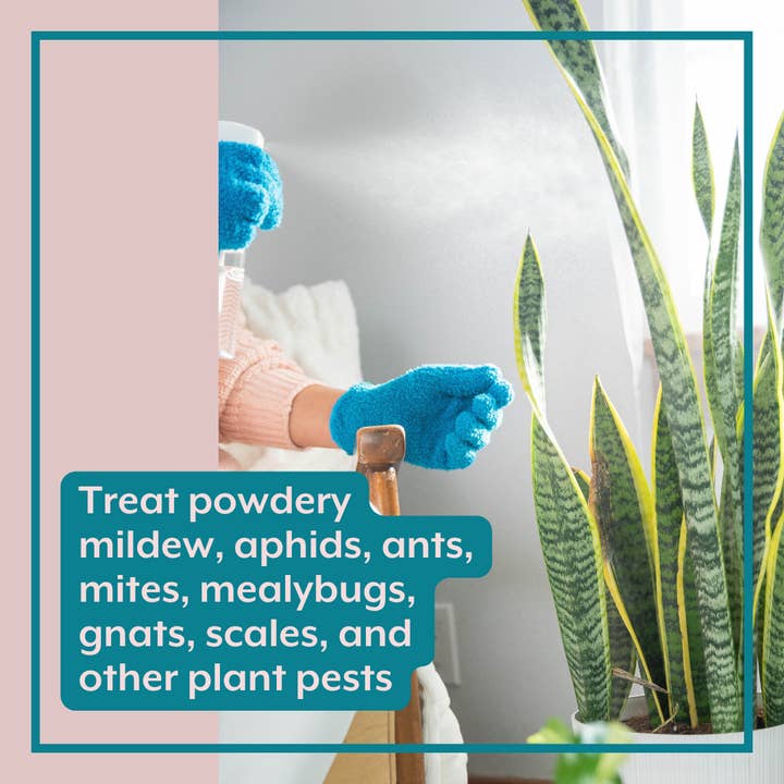 Instant Plant Food - Wholesale Plant Mister - Houseplant DEFENSE Bundle - Natural Pest Control Kit3