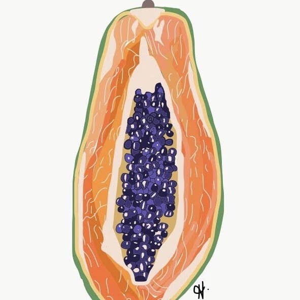 Papaya para venta al por mayor de Hadley Art & Design
