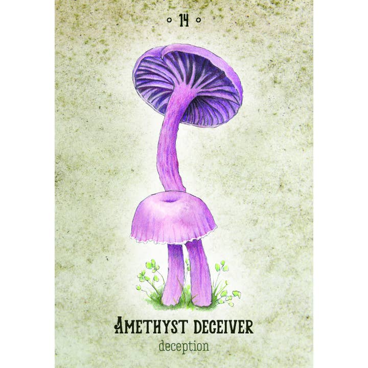 ROCKPOOL PUBLISHING - Wholesale Tarot cards - Mushroom Spirit Oracle (36 Cards & 112-Page Book)4