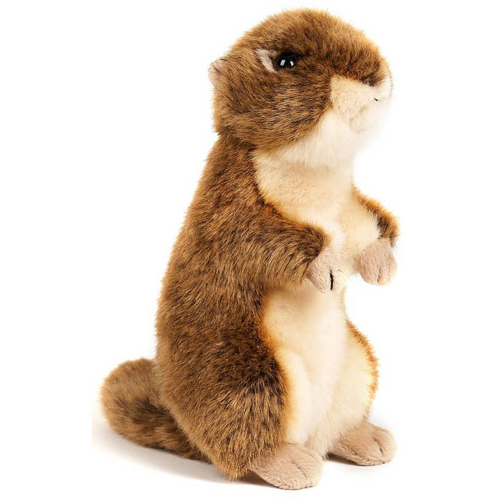 Uni Toys - Vendita all'ingrosso Peluche - Bambini e neonati - Scoiattolo di terra in piedi - 20 cm (altezza) - peluche morbido2