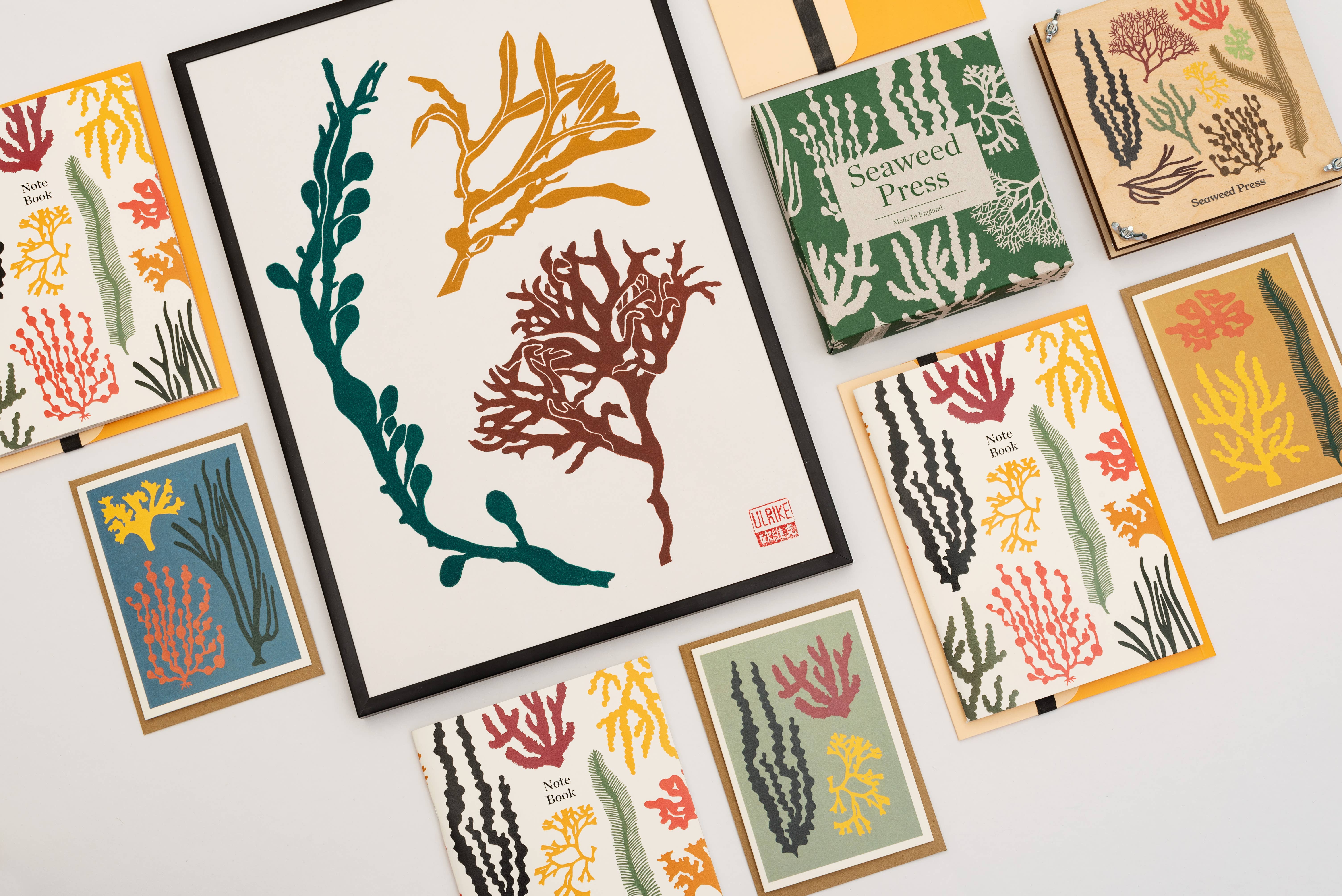 Studio Wald - UK Made - Wholesale Everyday Greeting Card - All Occasions A6 Card- Seaweed- Green1