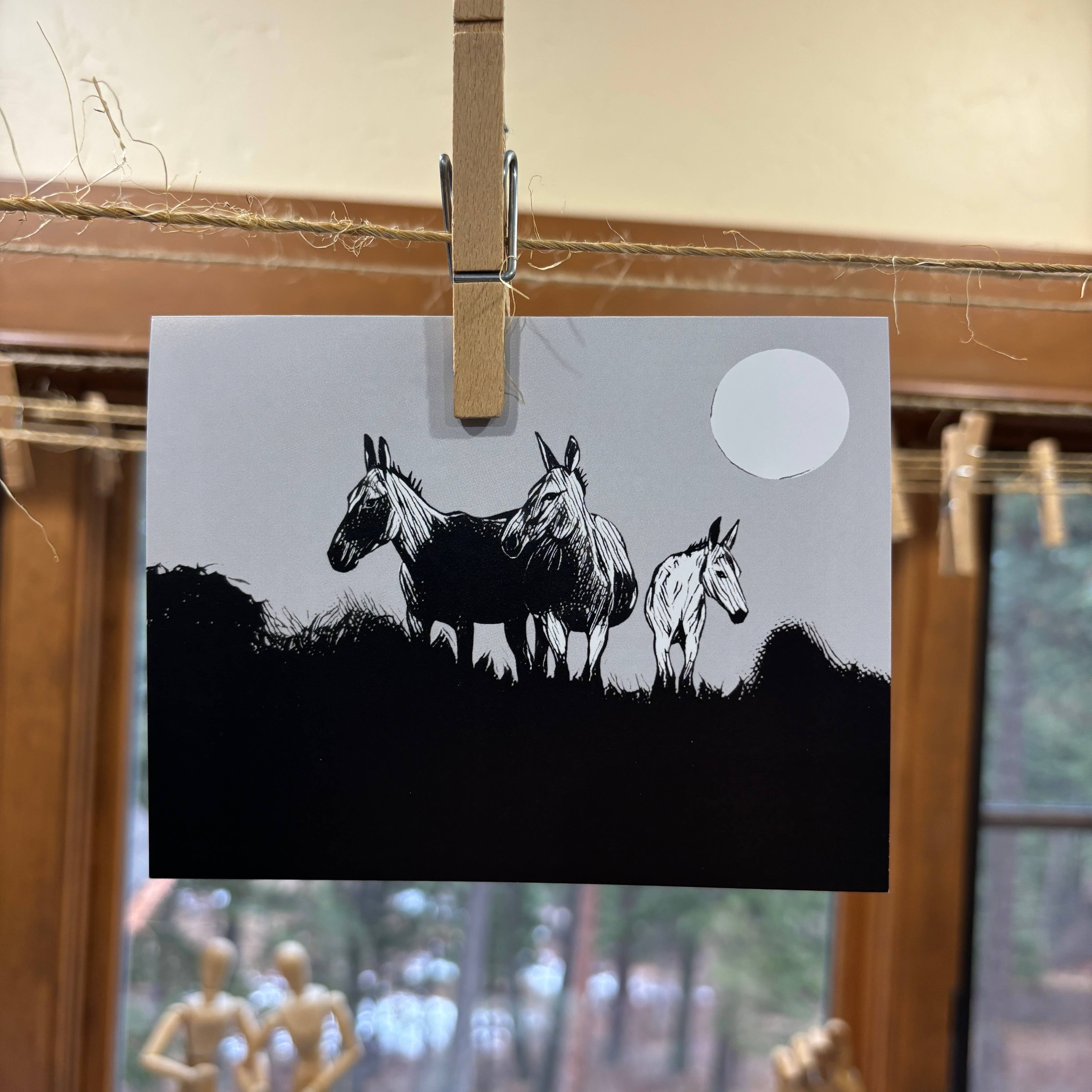 Laughing Mule Press - Wholesale Everyday Greeting Card - "Wild Desert Equines" Mule Notecard2