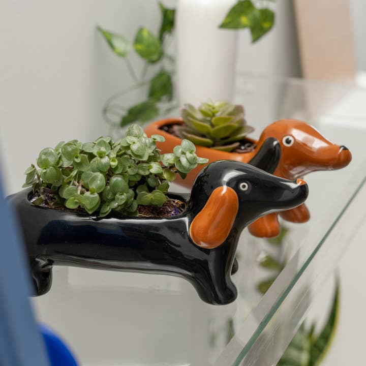 ZWARTE TECKEL VAAS HF voor wholesale door Helio Ferretti