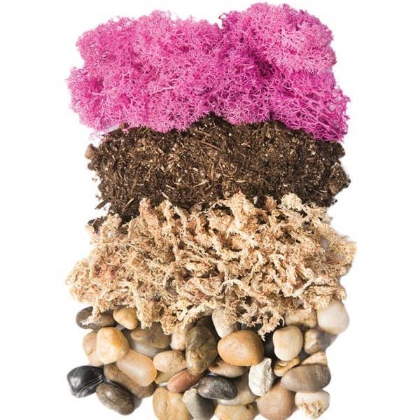 SuperMoss - Wholesale DIY Craft Kit - Terrarium Kit DIY Jar, Newport, 32oz Mason Jar1