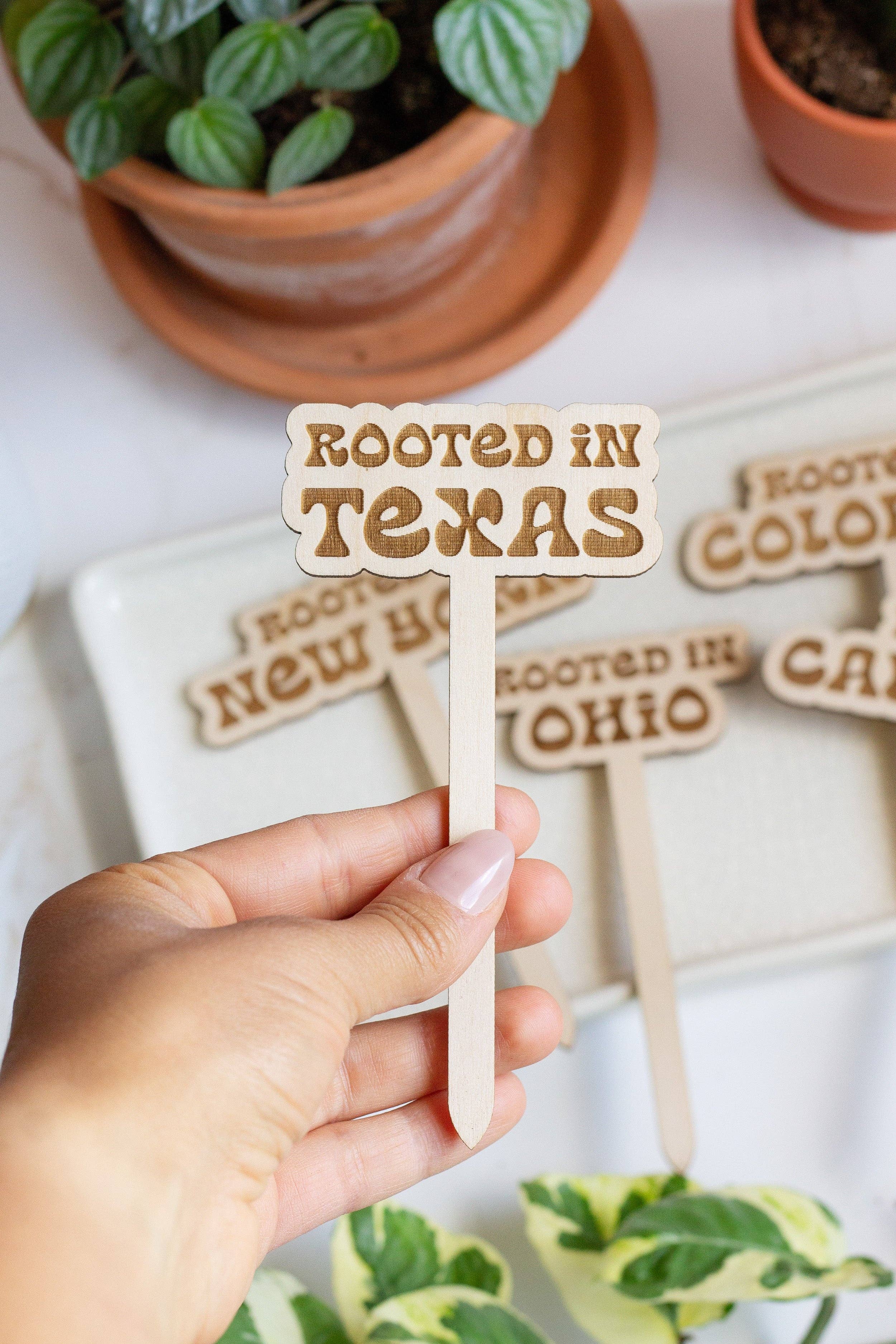 The Print Pantry - Vente Piquets de jardin/pelouse - Piquets pour plantes Retro State Name4