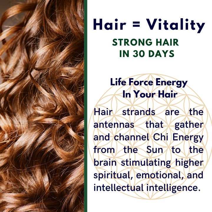 The Sacred Essence – wholesale Hårolja – ALOHA Hårväxt Elixir - Hår & Hårbotten Superpower9