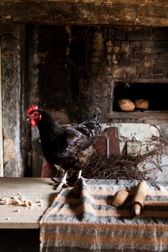 Libeco Home - Wholesale Throw Blanket - The Belgian Towel Fouta 110x180cm35